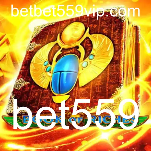 Descubra o Mundo Fascinante do Jogo BookofRiches